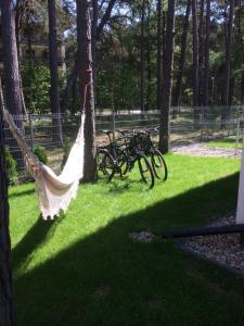 a hammock hanging from a tree in a park at The Place by Baltic sea in Łukęcin