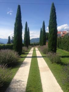 um caminho através de um jardim com árvores e arbustos em Villa Raifer em Appiano sulla Strada del Vino