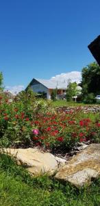 um campo de flores com uma casa ao fundo em Hillside Bio Resort Delux Apartments em Šešče pri Preboldu