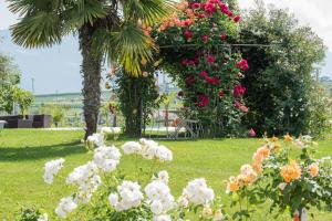 um ramo de flores em um jardim com uma árvore em Villa Raifer em Appiano sulla Strada del Vino