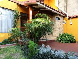 uma casa com uma palmeira no quintal da frente em Mainumbí House em Santa Cruz de la Sierra