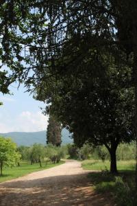 Paisagem natural perto do hotel-fazenda rural