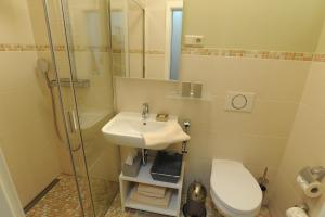 a bathroom with a toilet and a sink and a shower at Altstadt-Apartment in Freiberg