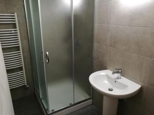 een badkamer met een wastafel en een glazen douche bij Apartments Jelka in Kranjska Gora