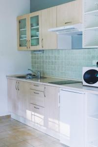 Dapur atau dapur kecil di Vila Renáta - Apartmán Renáta 12