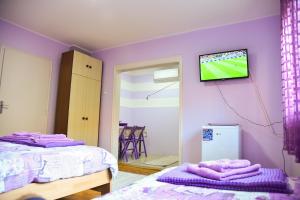 Cette chambre violette comprend 2 lits et une télévision murale. dans l'établissement PRENOĆIŠTE PILOT, à Niš