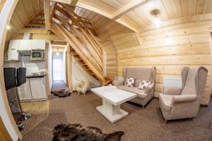 a living room with a dog in a tiny house at Apartamenty Jędrol in Poronin