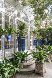 une serre remplie de plantes en pot dans un bâtiment dans l'établissement Hotel Medium Romantic, à Sitges