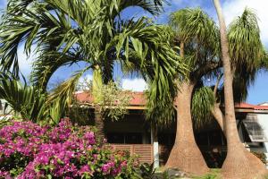 ein Haus mit Palmen und Blumen davor in der Unterkunft Le Panoramic in Les Trois-Îlets