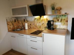 cocina con fregadero y encimera en Café-Pension Feldbergblick, en Titisee-Neustadt