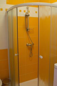 a shower with a hose in a bathroom at Vila Sofia in Luhačovice