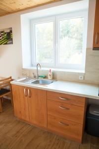 a kitchen with a sink and a window at Vila Sofia in Luhačovice