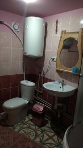 uma casa de banho com um WC e um lavatório em Na gorbochku u Natali em Vorokhta