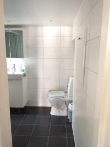 a bathroom with a toilet and a sink at Skuteviken Apartments 40 in Bergen