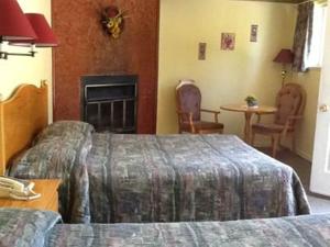 una camera d'albergo con letto e camino di Auberge Mountain View Inn a Mont-Tremblant