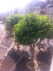 un grupo de árboles en una calle de la ciudad en le corsaire, en Granville