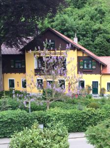 En trädgård utanför Villa Kreuthhof Appartements