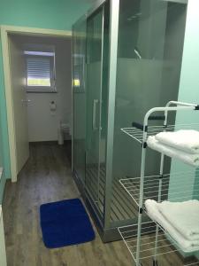 La salle de bains est pourvue d'une douche en verre avec un tapis bleu. dans l'établissement Ferienwohnung Pfeifer, à Friedrichsdorf