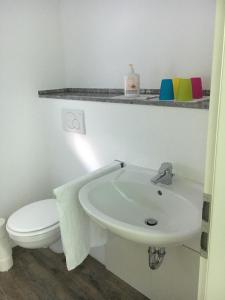 La salle de bains est pourvue d'un lavabo blanc et de toilettes. dans l'établissement Ferienwohnung Pfeifer, à Friedrichsdorf