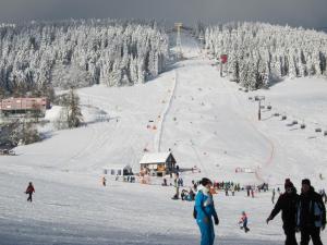 een groep mensen op een besneeuwde skipiste bij Ferienwohnungen Oberwiesenthal in Kurort Oberwiesenthal