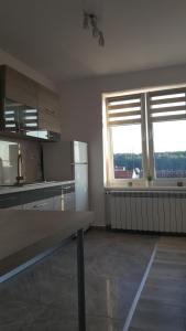 Kuhinja ili čajna kuhinja u objektu Apartament ULA