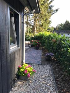 eine Veranda eines Hauses mit Blumen und einem Fenster in der Unterkunft Bij Zelle in Garderen