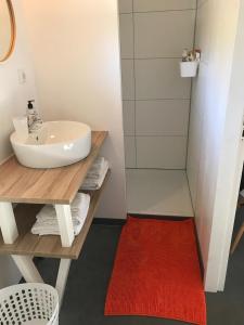 ein Badezimmer mit einem Waschbecken und einem roten Teppich in der Unterkunft Bij Zelle in Garderen