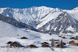 Hotel Des Alpes tokom zime