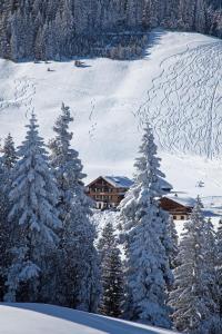 Hotel Des Alpes tokom zime