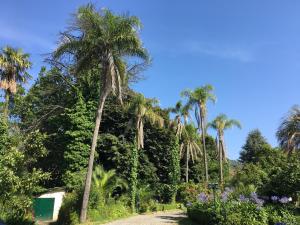 Jardin de l'établissement Vila Aurora