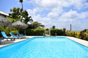 einen Pool mit zwei Stühlen und einer Palme in der Unterkunft Le Panoramic in Les Trois-Îlets