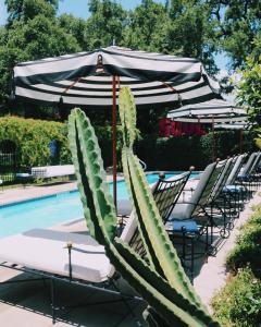 The swimming pool at or close to Hotel Saint Cecilia