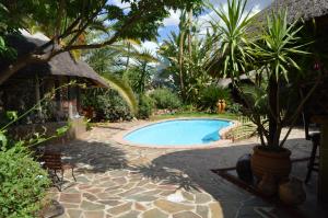 Bazen u ili blizu objekta African Kwela Guest House