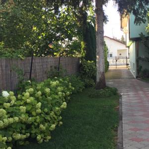 Un jardín fuera de Isabel