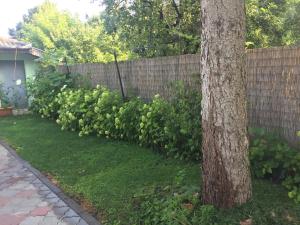 Un jardín fuera de Isabel