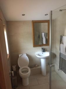 bagno con servizi igienici e lavandino di The Old Vicarage Lodge a Manchester