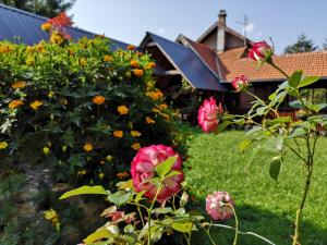 Dārzs pie naktsmītnes Guesthouse Ramović