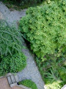 una vista sul cielo di un cespuglio verde su un marciapiede di Donau Lodge Boardinghouse a Straubing