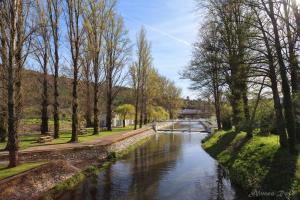 um rio com uma ponte num parque com árvores em Sever Rio Hotel em Marvão