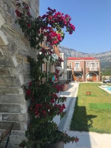 un ramo de flores al lado de un edificio en Anthelia, en Skala Potamias