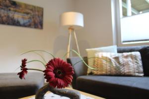 een vaas met een bloem op een tafel in een woonkamer bij Ferienwohnung & Gästezimmer Schrichten in Schmallenberg