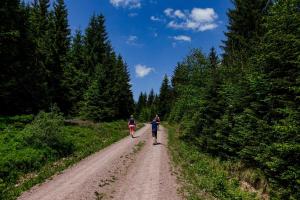 duas pessoas a andar de bicicleta numa estrada de terra batida em Pension Haus Saarland em Oberhof