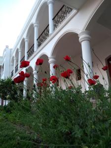 Κήπος έξω από το Hotel Portal del Santo