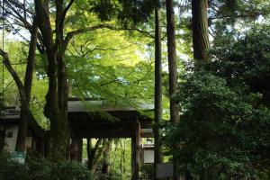 Сад в Arima Onsen Koki