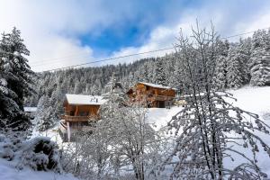 Crans Luxury Lodges зимой