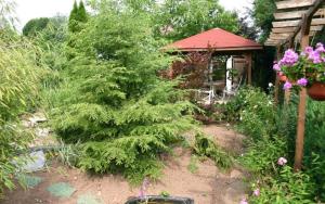 Un jardín fuera de Pension Haus zum Schlehenberg