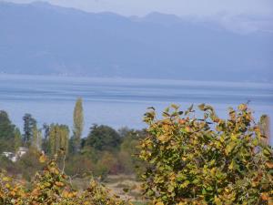 Villa yakınında doğal manzara