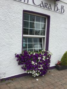 Foto da galeria de Anam Cara B&B em Cork