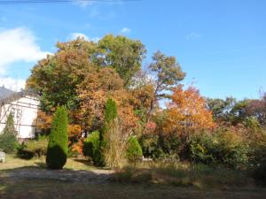 Un jardín fuera de Gasthof Arutany