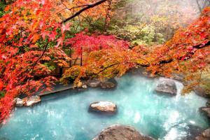 Φυσικό τοπίο κοντά σε αυτό το ryokan